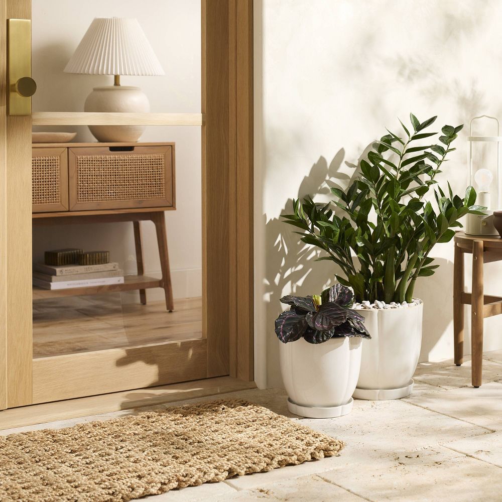 9.5" Stoneware Indoor/Outdoor Planter Pot with Saucer Cream - Hearth & Hand (2)